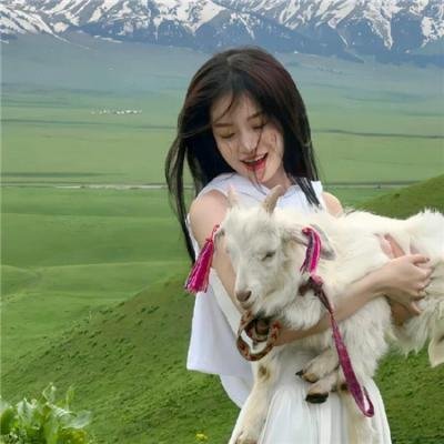 袁天罡之异域妖踪 封面