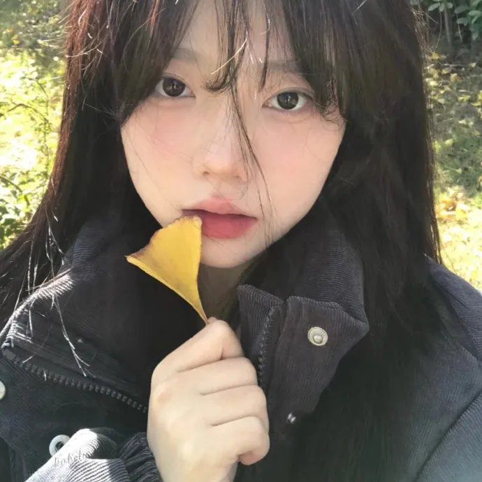 花开总有时 封面